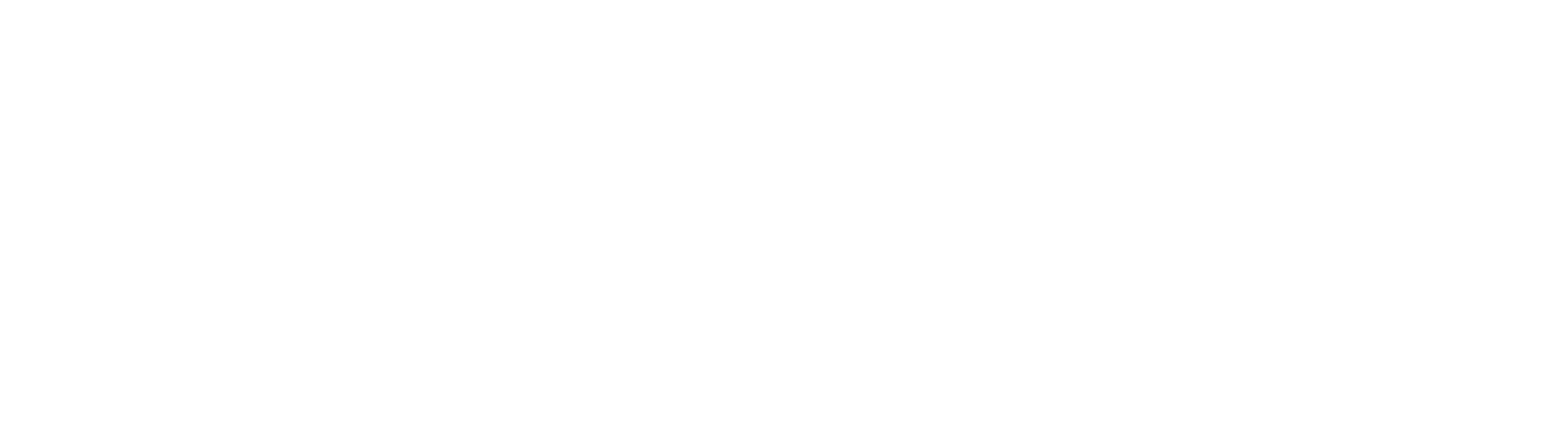 IX logo bianco-01