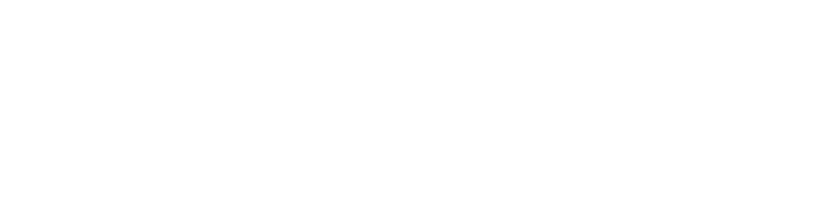 PX logo bianco-01
